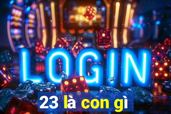 23 là con gì