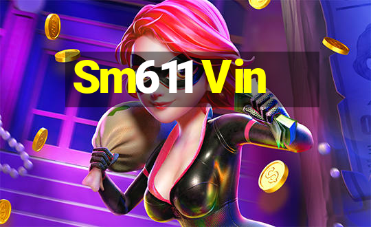 Sm611 Vin