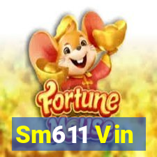 Sm611 Vin