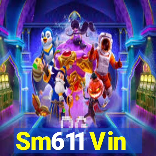 Sm611 Vin