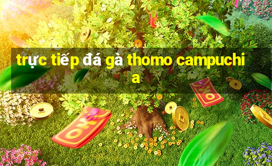 trực tiếp đá gà thomo campuchia