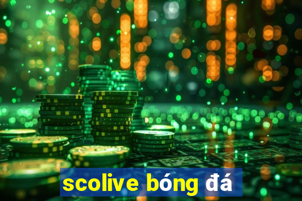 scolive bóng đá