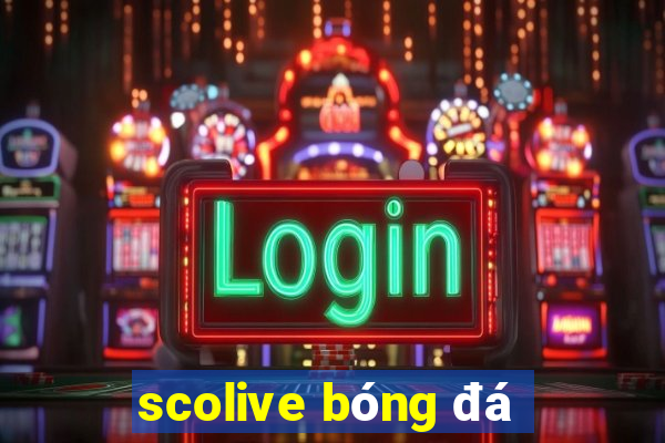 scolive bóng đá