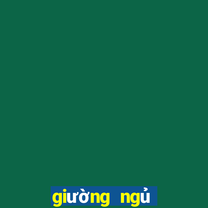 giường ngủ bệt giá rẻ