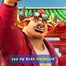 app dự đoán blackjack