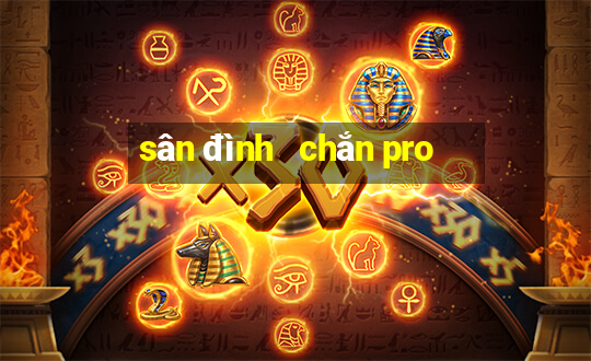 sân đình   chắn pro