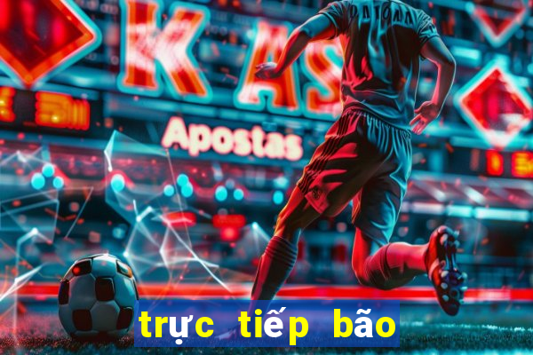 trực tiếp bão miền trung