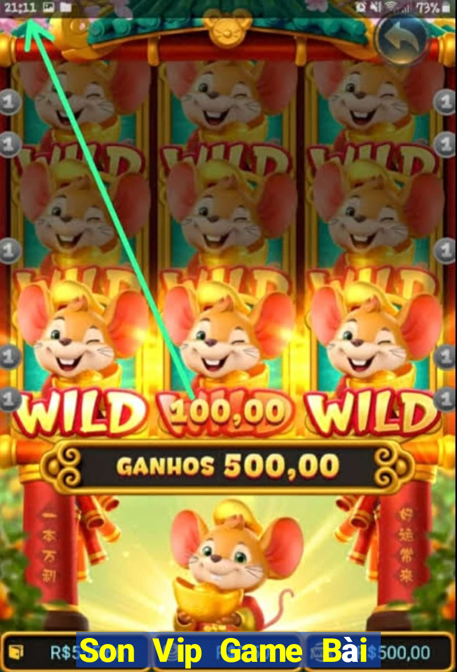 Son Vip Game Bài Giải Trí