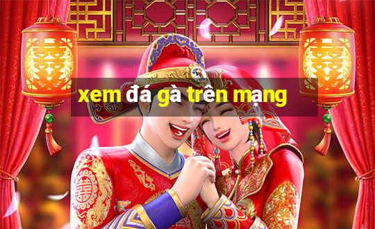 xem đá gà trên mạng