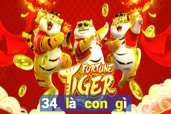 34 là con gì trong số đề