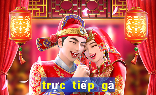 trực tiếp gà đá thomo