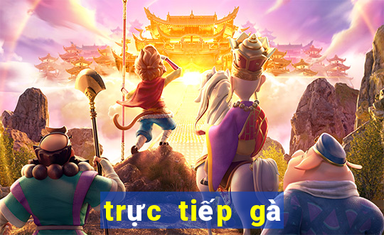 trực tiếp gà đá thomo