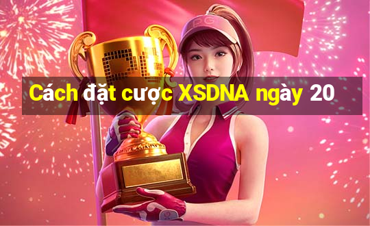 Cách đặt cược XSDNA ngày 20