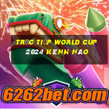 trực tiếp world cup 2024 kênh nào