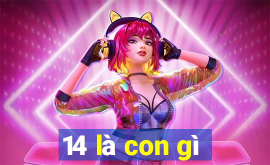 14 là con gì