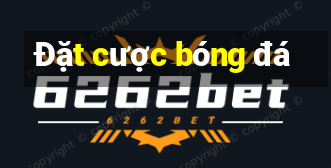 Đặt cược bóng đá