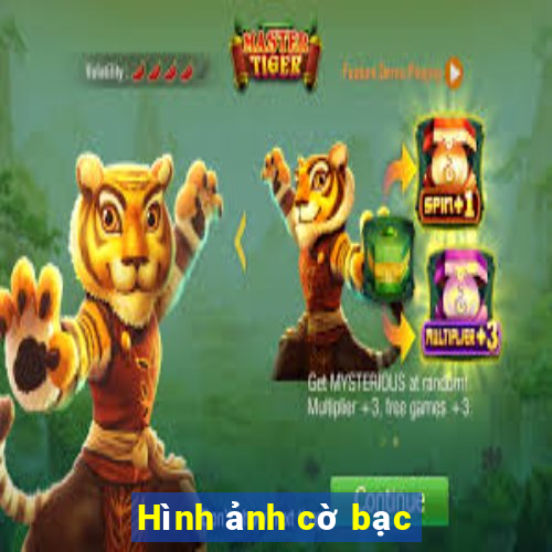 Hình ảnh cờ bạc