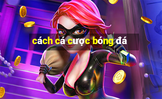 cách cá cược bóng đá