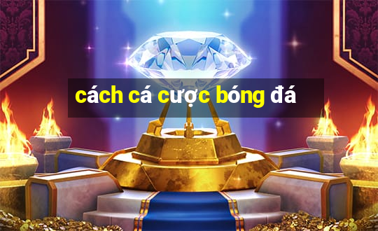 cách cá cược bóng đá