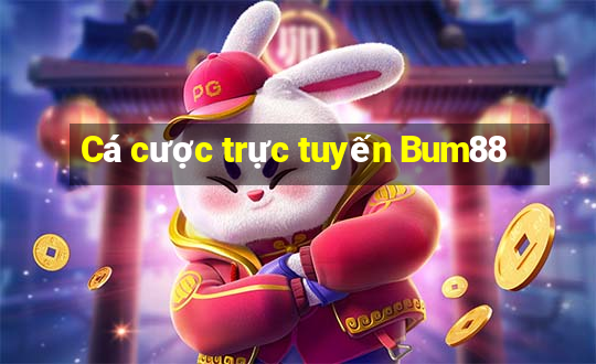 Cá cược trực tuyến Bum88