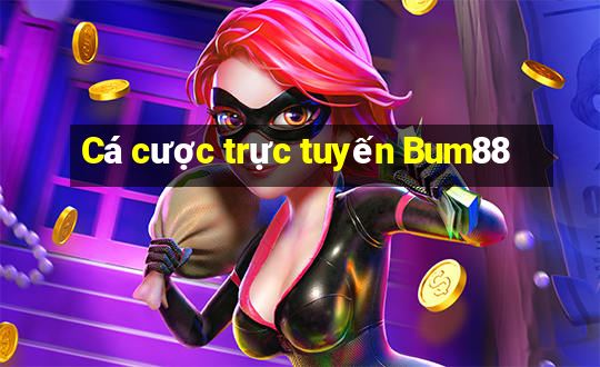 Cá cược trực tuyến Bum88