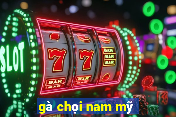 gà chọi nam mỹ