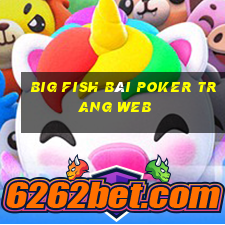 Big Fish bài poker trang web