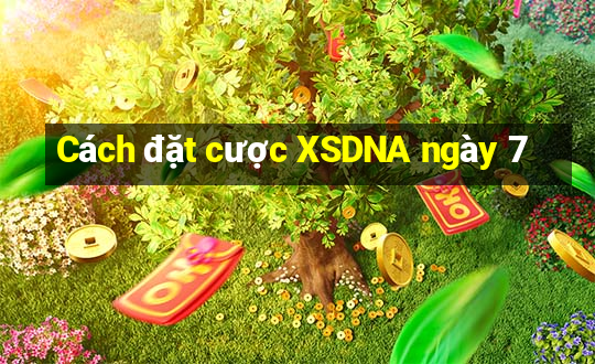 Cách đặt cược XSDNA ngày 7