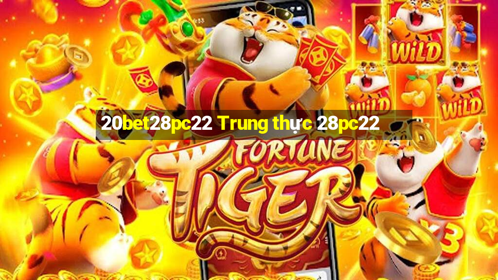 20bet28pc22 Trung thực 28pc22