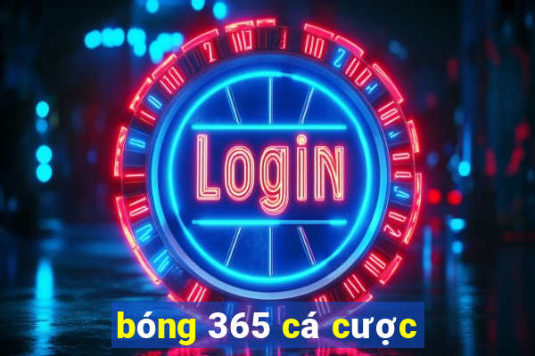 bóng 365 cá cược