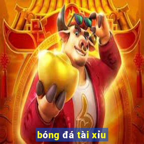 bóng đá tài xỉu