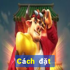 Cách đặt cược XSVT ngày 28