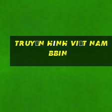 Truyền hình Việt nam bbin