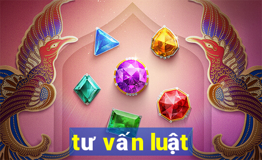 tư vấn luật