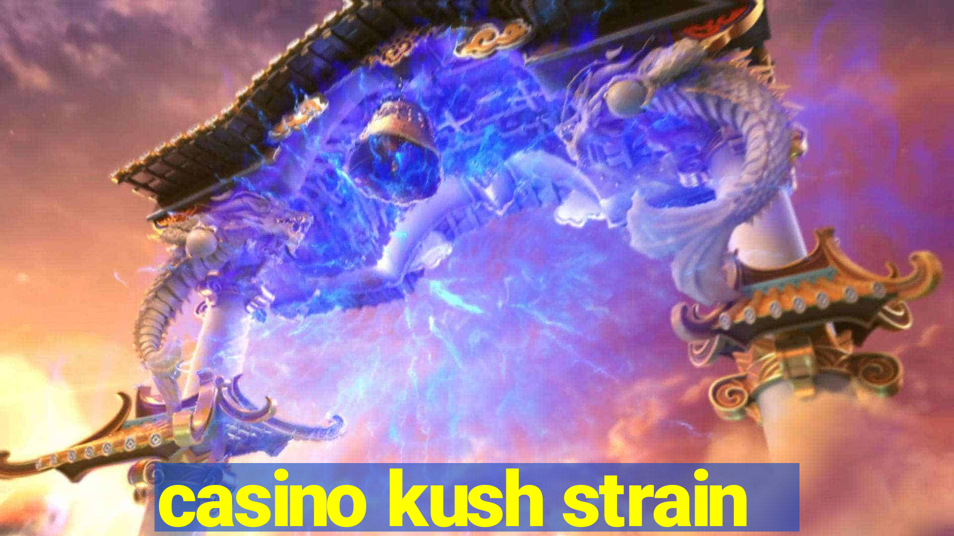 casino kush strain