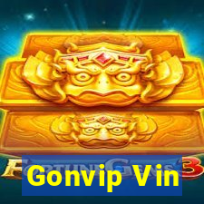 Gonvip Vin