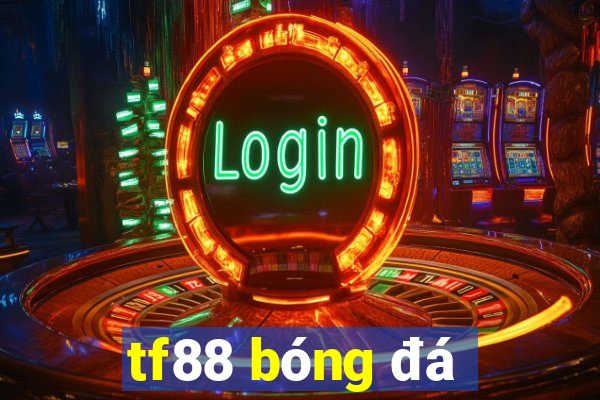 tf88 bóng đá