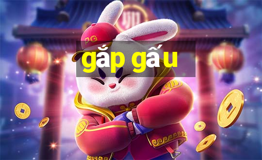 gắp gấu