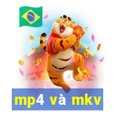 mp4 và mkv