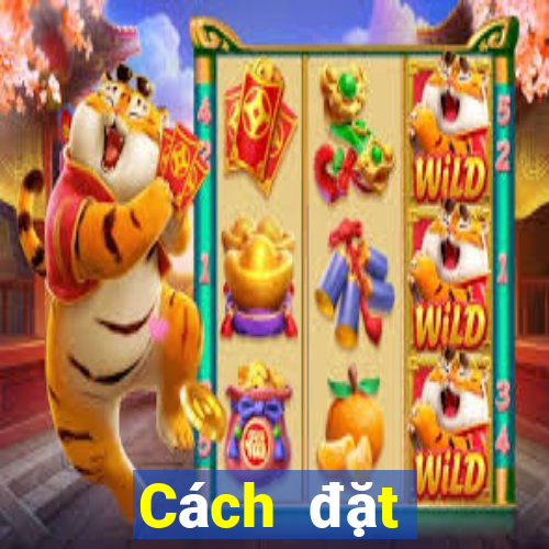 Cách đặt cược XSTN Thứ 5