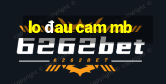 lo đau cam mb