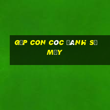 gặp con cóc đánh số mấy