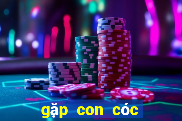 gặp con cóc đánh số mấy