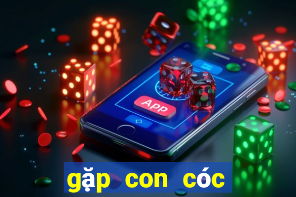 gặp con cóc đánh số mấy