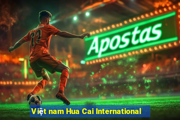 Việt nam Hua Cai International