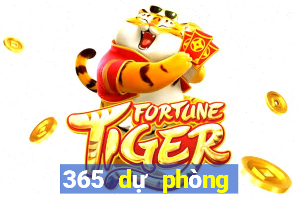 365 dự phòng bóng đá