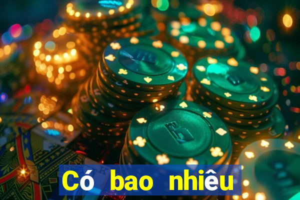 Có bao nhiêu địa chỉ web PayPal