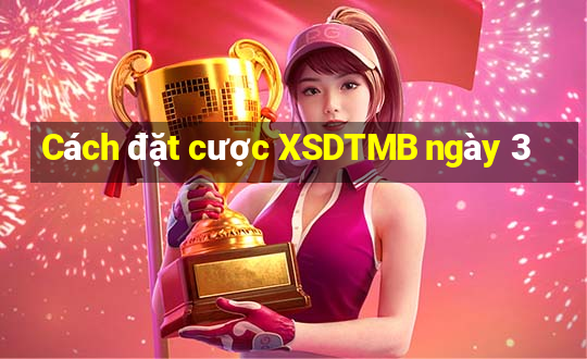 Cách đặt cược XSDTMB ngày 3