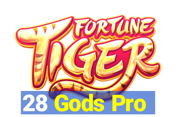 28 Gods Pro