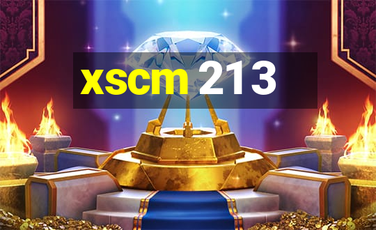 xscm 21 3